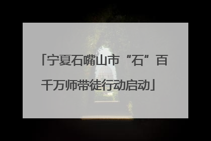 宁夏石嘴山市“石”百千万师带徒行动启动