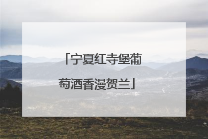 宁夏红寺堡葡萄酒香漫贺兰