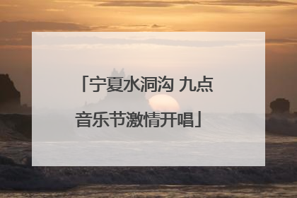 宁夏水洞沟 九点音乐节激情开唱