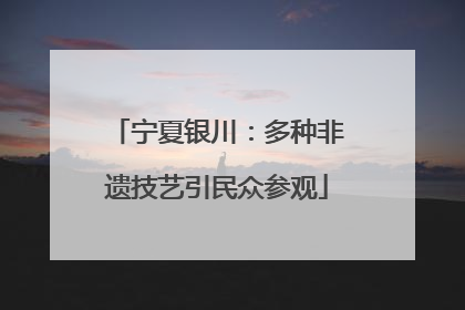 宁夏银川：多种非遗技艺引民众参观