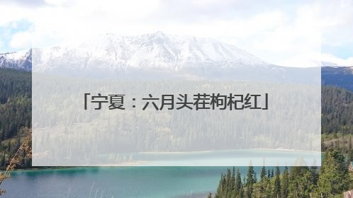 宁夏：六月头茬枸杞红