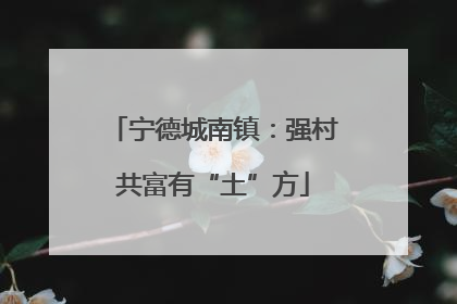 宁德城南镇：强村共富有“土”方