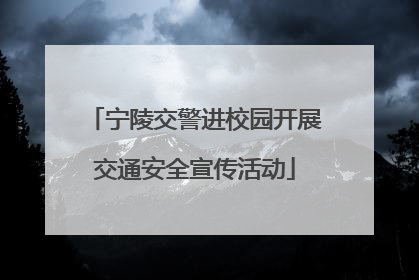 宁陵交警进校园开展交通安全宣传活动