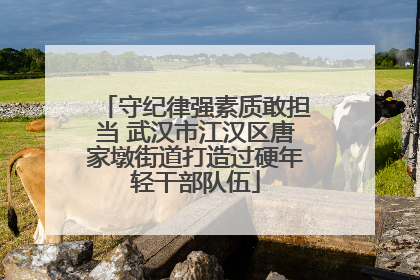 守纪律强素质敢担当 武汉市江汉区唐家墩街道打造过硬年轻干部队伍