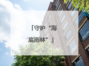 守护“海底雨林”