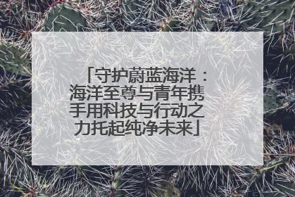 守护蔚蓝海洋：海洋至尊与青年携手用科技与行动之力托起纯净未来