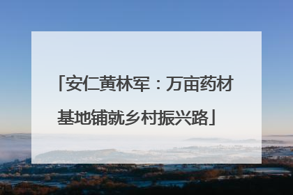 安仁黄林军：万亩药材基地铺就乡村振兴路