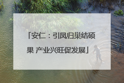 安仁：引凤归巢结硕果 产业兴旺促发展