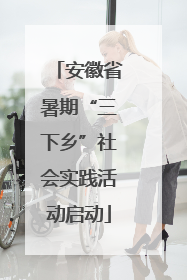 安徽省暑期“三下乡”社会实践活动启动