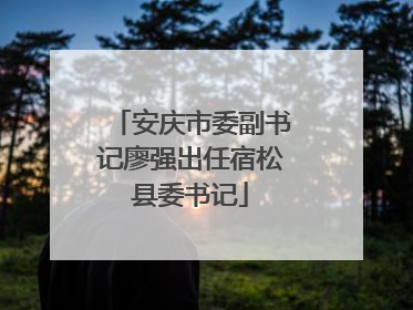 安庆市委副书记廖强出任宿松县委书记