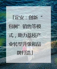 定安：创新“包树”销售等模式，助力荔枝产业转型升级和品牌打造