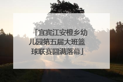 宜宾江安橙乡幼儿园第五届大班篮球联赛圆满落幕