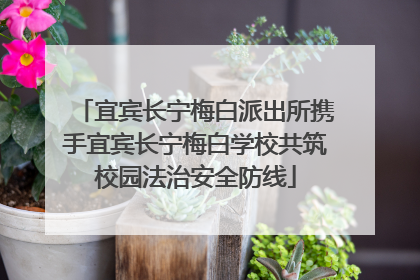 宜宾长宁梅白派出所携手宜宾长宁梅白学校共筑校园法治安全防线