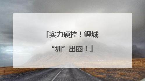 实力硬控！鲤城“圳”出圈！