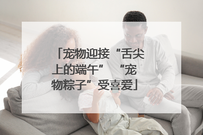 宠物迎接“舌尖上的端午” “宠物粽子”受喜爱
