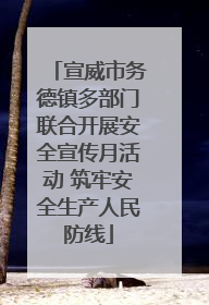 宣威市务德镇多部门联合开展安全宣传月活动 筑牢安全生产人民防线
