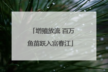 增殖放流 百万鱼苗跃入富春江