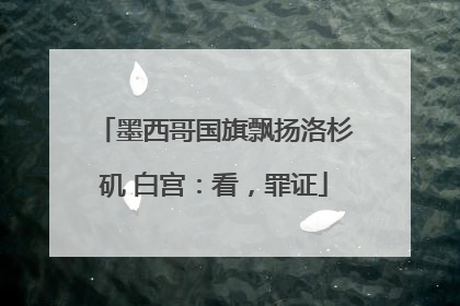 墨西哥国旗飘扬洛杉矶 白宫：看，罪证