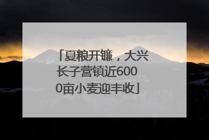 夏粮开镰，大兴长子营镇近6000亩小麦迎丰收