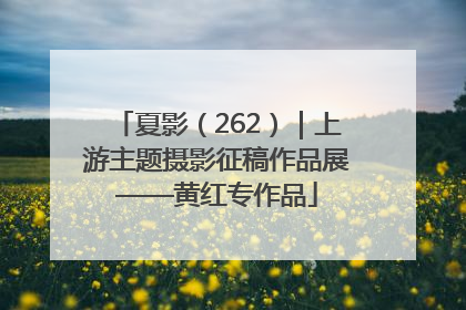 夏影（262）｜上游主题摄影征稿作品展——黄红专作品