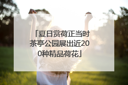 夏日赏荷正当时 茶亭公园展出近200种精品荷花
