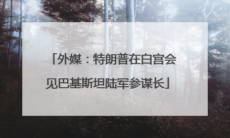 外媒：特朗普在白宫会见巴基斯坦陆军参谋长