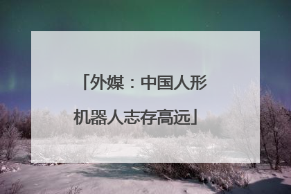 外媒：中国人形机器人志存高远