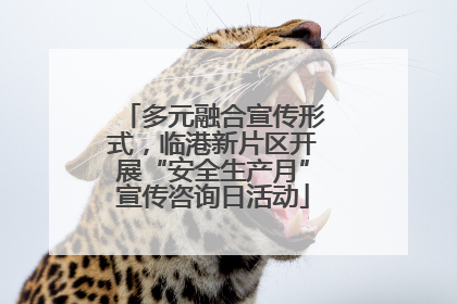 多元融合宣传形式，临港新片区开展“安全生产月”宣传咨询日活动