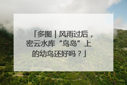 多图｜风雨过后，密云水库“鸟岛”上的幼鸟还好吗？