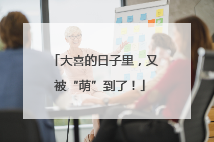 大喜的日子里，又被“萌”到了！