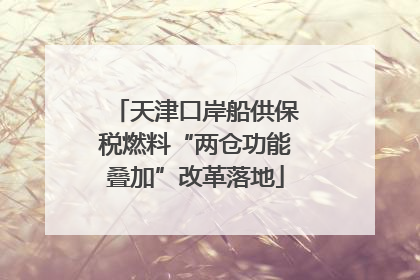 天津口岸船供保税燃料“两仓功能叠加”改革落地