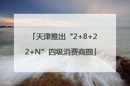 天津推出“2+8+22+N”四级消费商圈