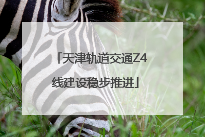 天津轨道交通Z4线建设稳步推进