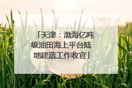 天津：渤海亿吨级油田海上平台陆地建造工作收官