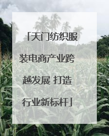 天门纺织服装电商产业跨越发展 打造行业新标杆