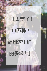 太美了！11万株！福州这里绚丽多彩！