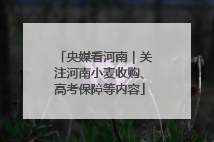 央媒看河南｜关注河南小麦收购、高考保障等内容