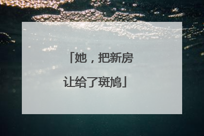 她，把新房让给了斑鸠