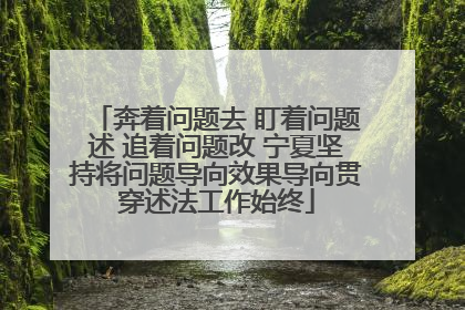 奔着问题去 盯着问题述 追着问题改 宁夏坚持将问题导向效果导向贯穿述法工作始终