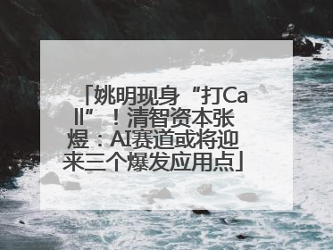 姚明现身“打Call”！清智资本张煜：AI赛道或将迎来三个爆发应用点