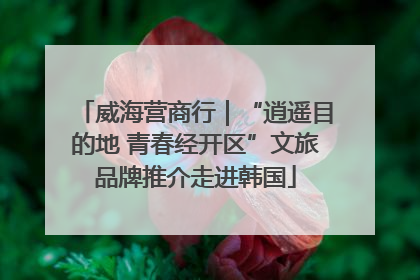 威海营商行｜“逍遥目的地 青春经开区”文旅品牌推介走进韩国