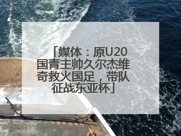 媒体：原U20国青主帅久尔杰维奇救火国足，带队征战东亚杯