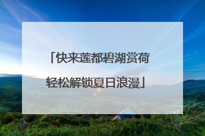 快来莲都碧湖赏荷 轻松解锁夏日浪漫