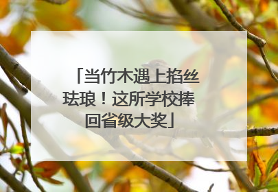 当竹木遇上掐丝珐琅！这所学校捧回省级大奖
