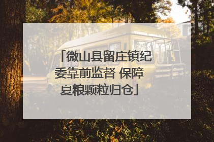 微山县留庄镇纪委靠前监督 保障夏粮颗粒归仓