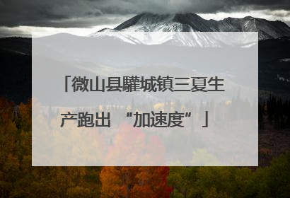 微山县驩城镇三夏生产跑出 “加速度”