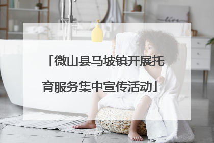 微山县马坡镇开展托育服务集中宣传活动