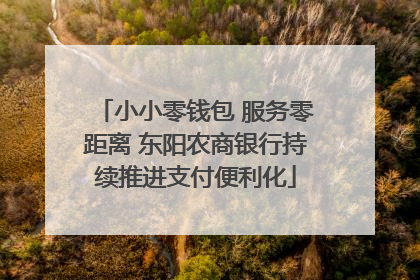 小小零钱包 服务零距离 东阳农商银行持续推进支付便利化