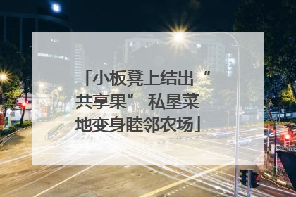 小板凳上结出“共享果” 私垦菜地变身睦邻农场