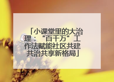 小课堂里的大治理：“百千万”工作法赋能社区共建共治共享新格局